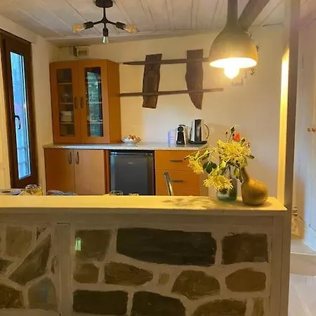 Villa Beautiful In The Rodopi Mountains *