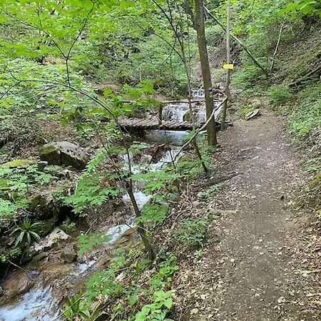 Beautiful In The Rodopi Mountains *