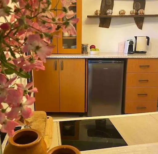 Villa Beautiful In The Rodopi Mountains