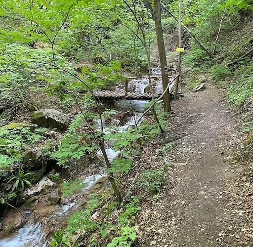 Beautiful In The Rodopi Mountains *